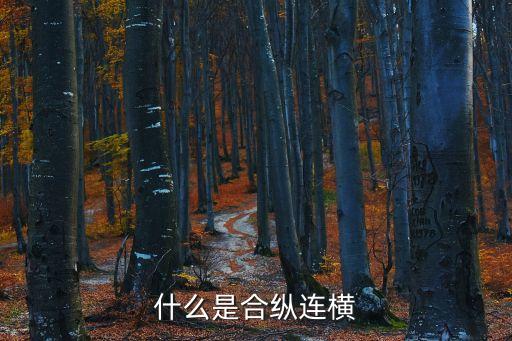 廣州市合縱聯橫貿易有限公司，什么是合縱連橫