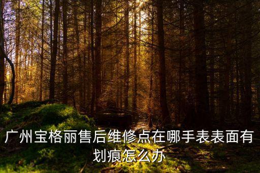 廣州寶格麗售后維修點在哪手表表面有劃痕怎么辦