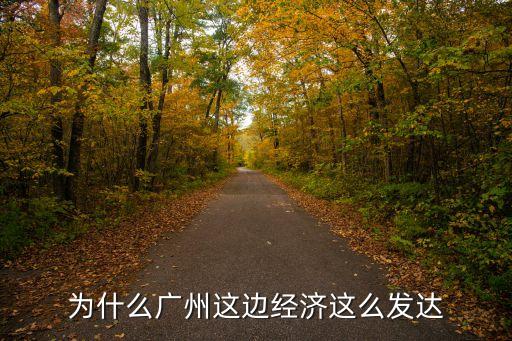 廣州這邊什么發達，廣州哪個區比較發達