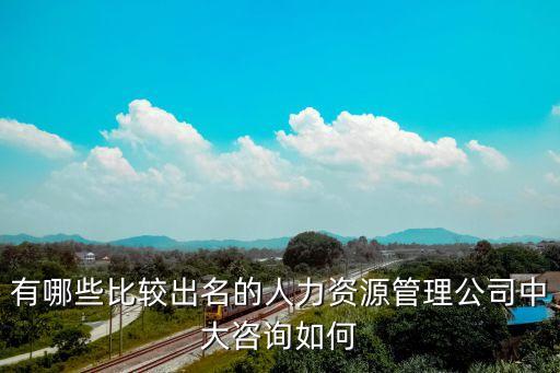 有哪些比較出名的人力資源管理公司中大咨詢如何