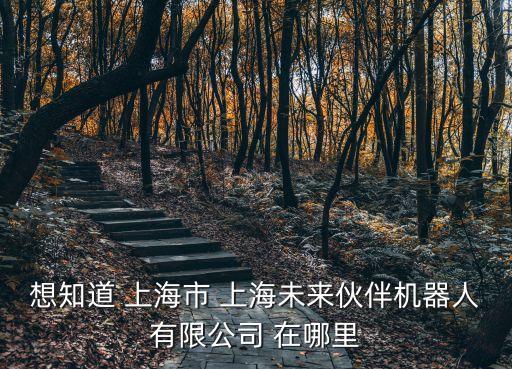 上海市徐匯區(qū)欽州南路8弄17號，想知道 上海市 上海未來伙伴機器人有限公司 在哪里