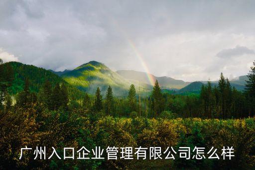 廣州入口企業(yè)管理有限公司怎么樣