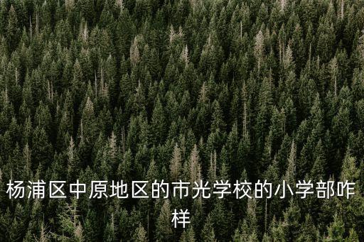 楊浦區中原地區的市光學校的小學部咋樣