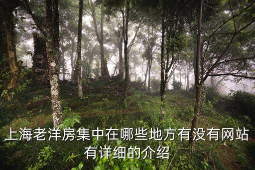 上海老洋房集中在哪些地方有沒有網站有詳細的介紹