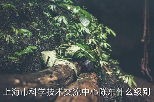 上海市科技動員辦公室主任，上海市科技黨委是主任大還是書記大