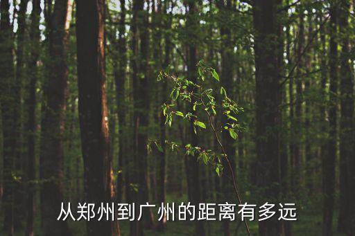 從鄭州到廣州的距離有多遠