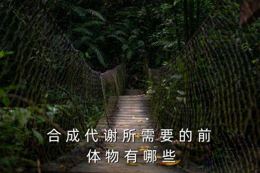 體物，什么是有機前體物