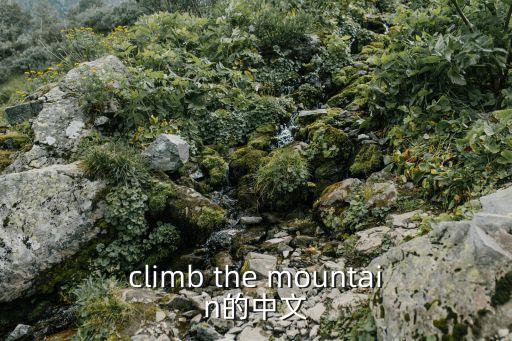 climb the mountain的中文