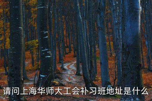 請問上海華師大工會補習班地址是什么