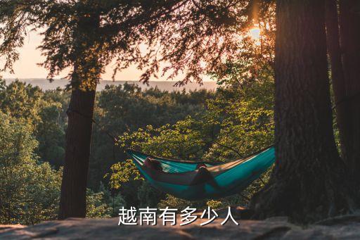 越南有多少人