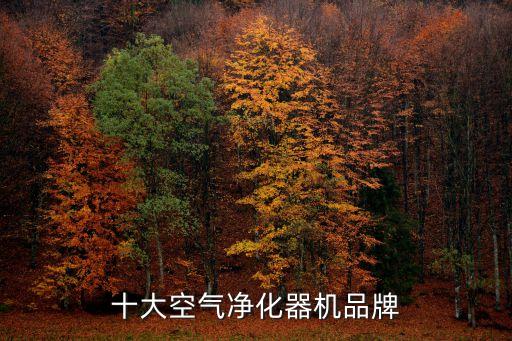 十大空氣凈化器機品牌