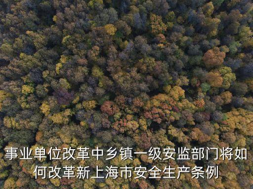 事業單位改革中鄉鎮一級安監部門將如何改革新上海市安全生產條例