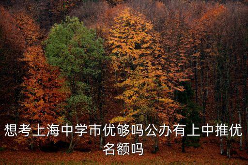 想考上海中學市優(yōu)夠嗎公辦有上中推優(yōu)名額嗎