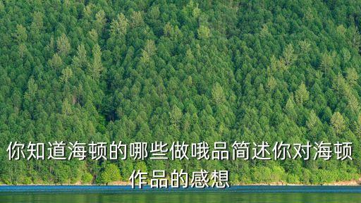 海頓簡(jiǎn)介，海頓是哪國(guó)人