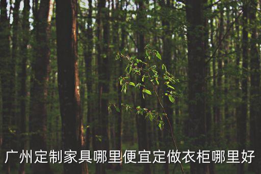廣州定制家具哪里便宜定做衣柜哪里好