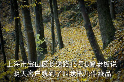 上海市寶山區(qū)長逸路15號(hào)B幢老板說明天客戶就到了叫我把幾件藏品