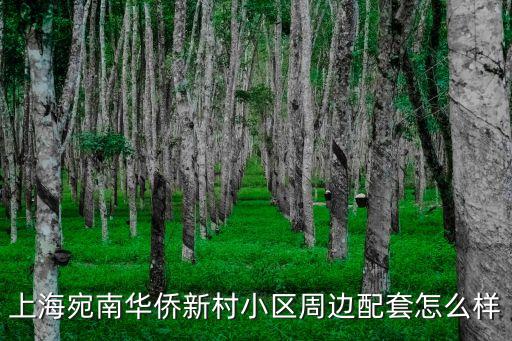上海市宛南四村具體位置，0216136是上海哪的具體位置在哪如需后面幾位可以告之給