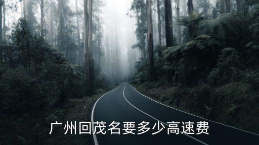 廣州回茂名要多少高速費