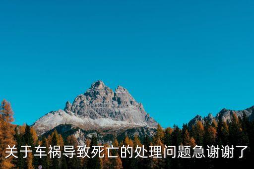 關于車禍導致死亡的處理問題急謝謝了