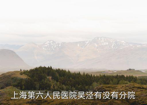 上海第六人民醫(yī)院吳涇有沒(méi)有分院