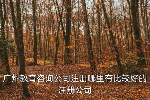 廣州教育咨詢公司注冊哪里有比較好的注冊公司