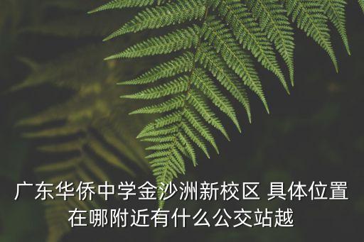廣東華僑中學金沙洲新校區 具體位置在哪附近有什么公交站越