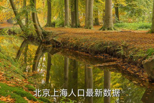 上海市各區新生兒人數，上海人口