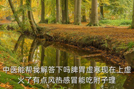 中醫能幫我解答下嗎脾胃虛寒現在上虛火了有點風熱感冒能吃附子理