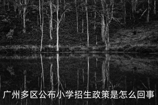 廣州多區(qū)公布小學(xué)招生政策是怎么回事