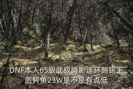 DNF本人65級(jí)武極瞬影連環(huán)踢踢王圖鱷魚23W是不是有點(diǎn)低