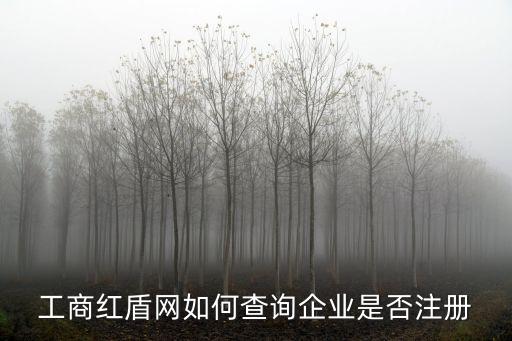 企業注冊查詢網，工商紅盾網如何查詢企業是否注冊
