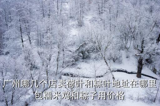 廣州哪幾個店賣荷葉和粽葉地址在哪里包糯米雞和粽子用價格