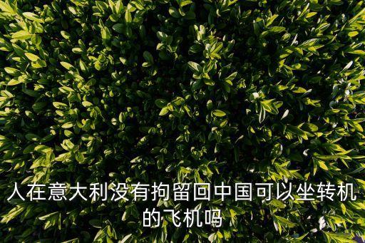 意大利回國廣州轉(zhuǎn)機(jī)，意大利黑工回中國能做轉(zhuǎn)機(jī)的航班嗎