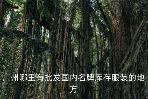 廣州哪里有批發國內名牌庫存服裝的地方
