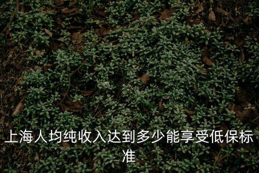 上海市2020年低保政策，上海低保新政策