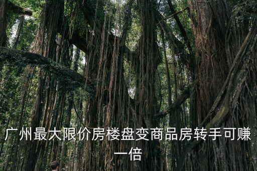 高于限價 廣州，廣州限價房套型建筑面積不得超過90平方米
