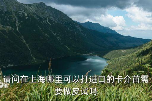 請問在上海哪里可以打進口的卡介苗需要做皮試嗎