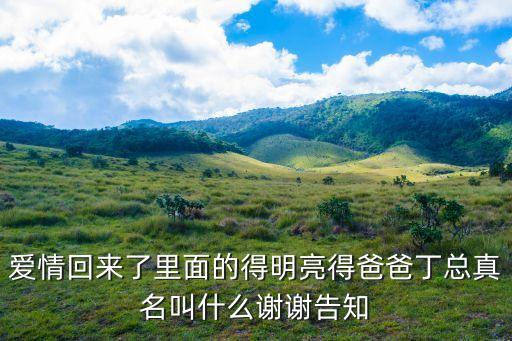 丁文斌，愛情回來了里面的得明亮得爸爸丁總真名叫什么謝謝告知
