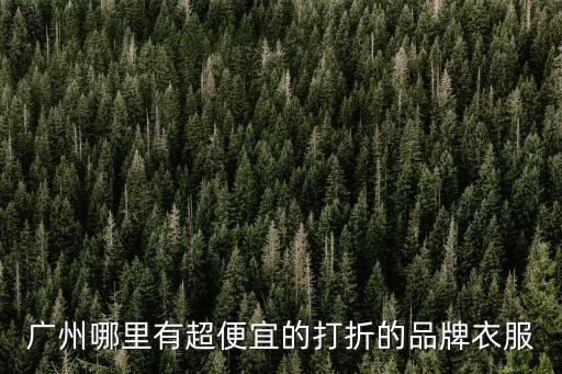 廣州哪里有超便宜的打折的品牌衣服