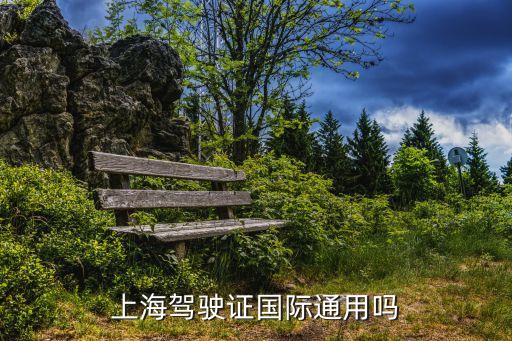 上海市考的駕照是不是可以出國用，上海學(xué)的駕照可以全球通用嗎