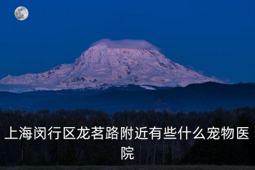上海市閔行區龍茗路有哪幾家醫院，上海閔行區龍茗路附近醫院是哪家