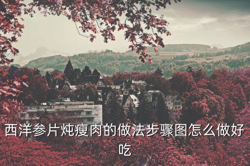 西洋參片燉瘦肉的做法步驟圖怎么做好吃