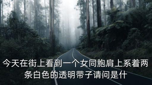廣州一女子毛衣上發現，今天在街上看到一個女同胞肩上系著兩條白色的透明帶子請問是什