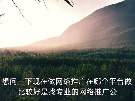 想問一下現(xiàn)在做網(wǎng)絡(luò)推廣在哪個平臺做比較好是找專業(yè)的網(wǎng)絡(luò)推廣公