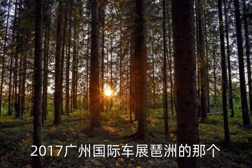 2017廣州國際車展琶洲的那個