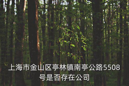 上海市金山區亭林鎮南亭公路5508號是否存在公司