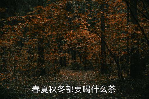 春夏秋冬都要喝什么茶