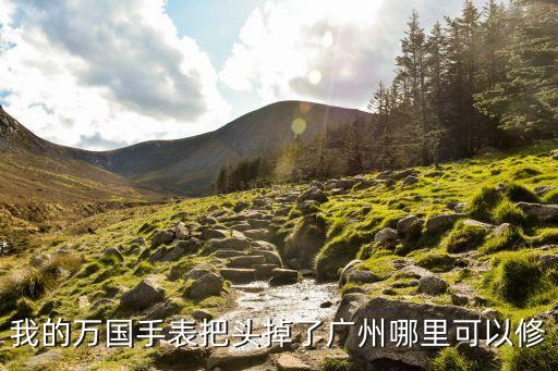 我的萬國手表把頭掉了廣州哪里可以修