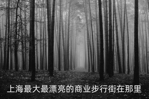 上海市商業街照片，上海最大最漂亮的商業步行街在那里