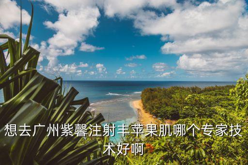 陳成都選廣州紫 馨精準，想去廣州紫馨注射豐蘋果肌哪個專家技術好啊